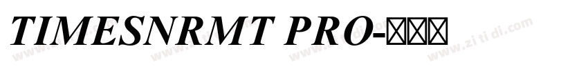TIMESNRMT PRO字体转换